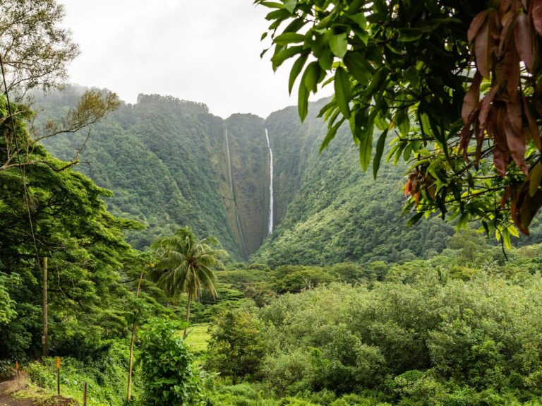 kauai hawaii hotels vacation rentals