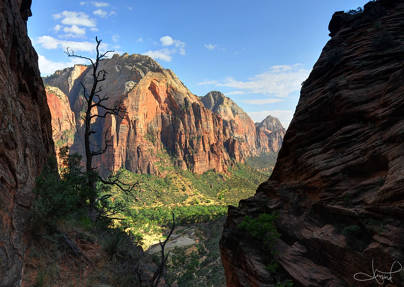 Hikers descending the chains section of Angels Landing in Zion National Park