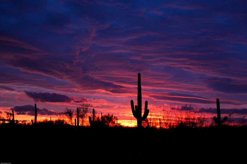 Beautiful Arizona desert sunset with dramatic sky and desert landscape near Scottsdale
