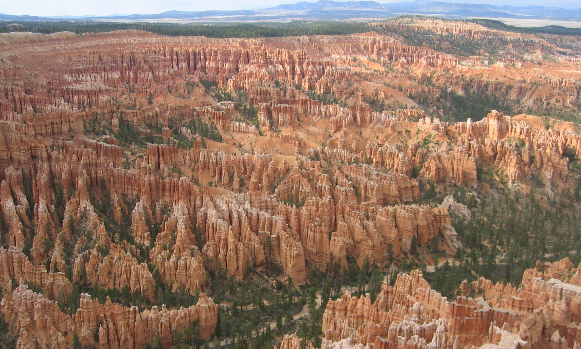 Orange and white hoodoo rock spires filling the Bryce Canyon amphitheater