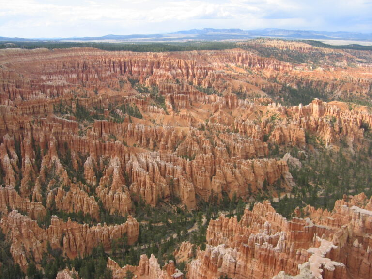 Orange and white hoodoo rock spires filling the Bryce Canyon amphitheater
