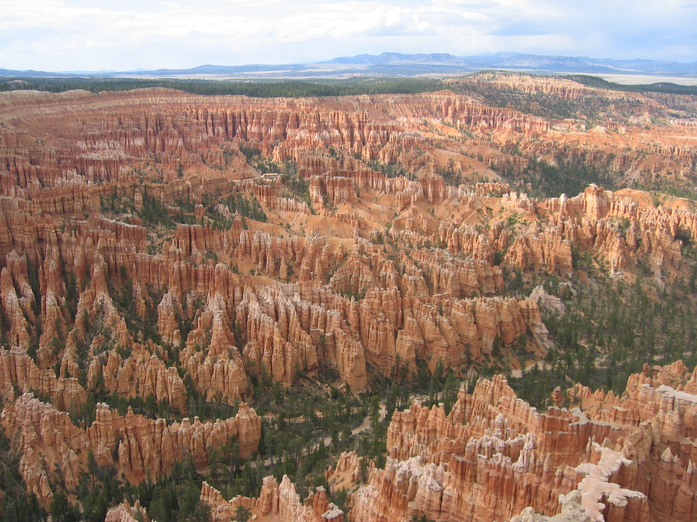 Orange and white hoodoo rock spires filling the Bryce Canyon amphitheater