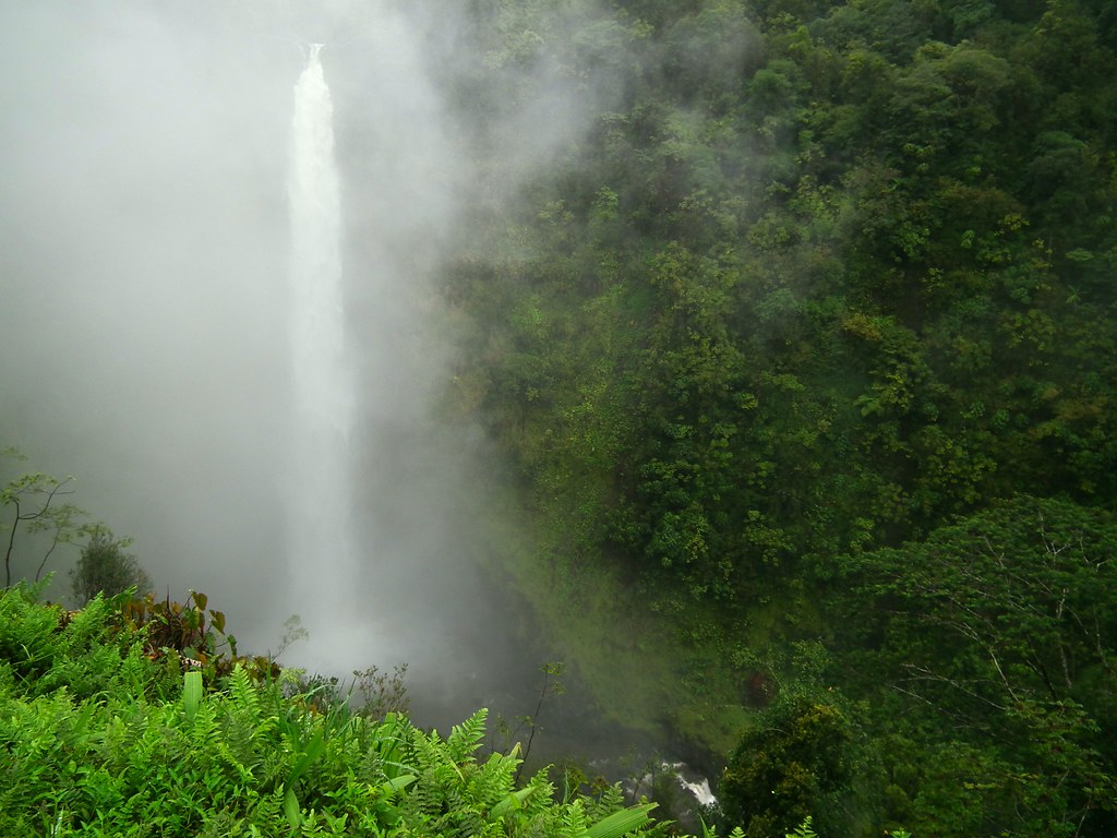 Gorgeous green waterfall in the rainforest along the Road to Hana Maui