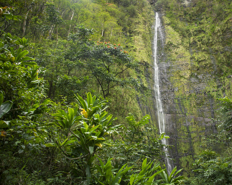 Beautiful green tropical waterfall along the Road to Hana in Maui Hawaii