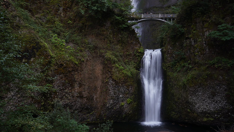 Multnomah Falls cascading in the Columbia River Gorge near Portland Oregon