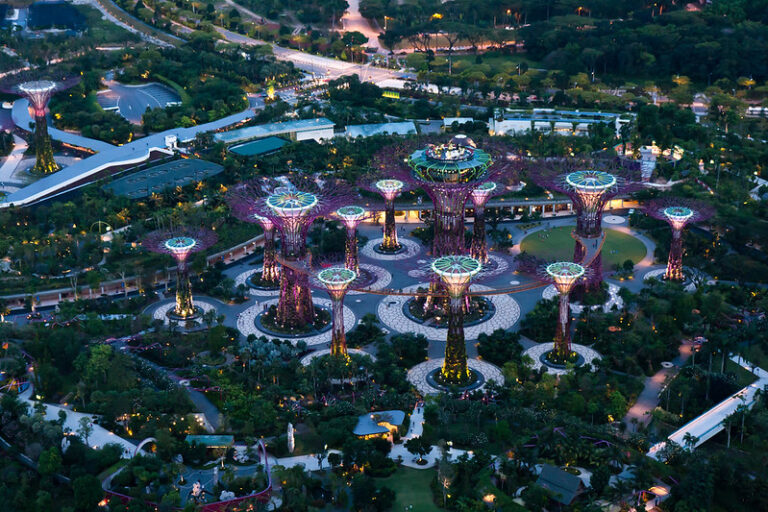 The Supertree Grove at Gardens by the Bay in Singapore