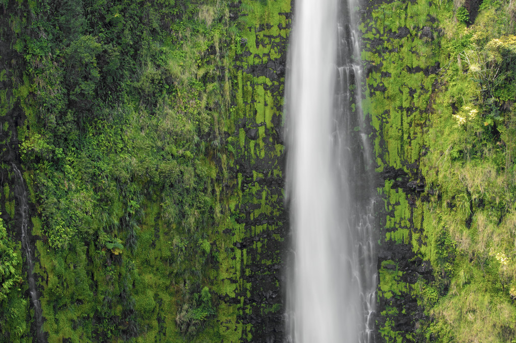 Tall Akaka Falls plunging through lush rainforest near Hilo on Hawaii Big Island