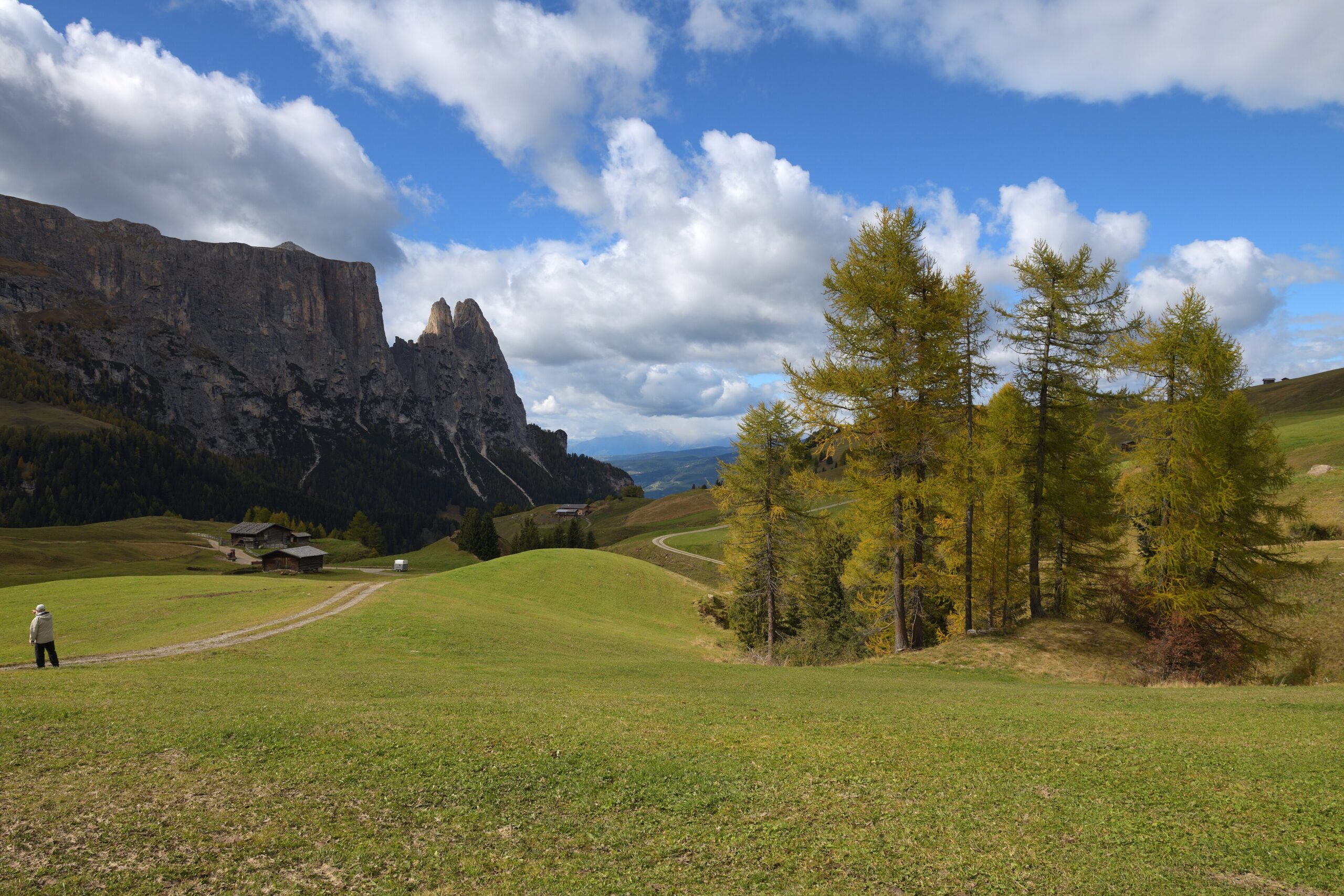 Green alpine meadows of the Alpe di Siusi rolling up to pale Dolomite peaks in South Tyrol