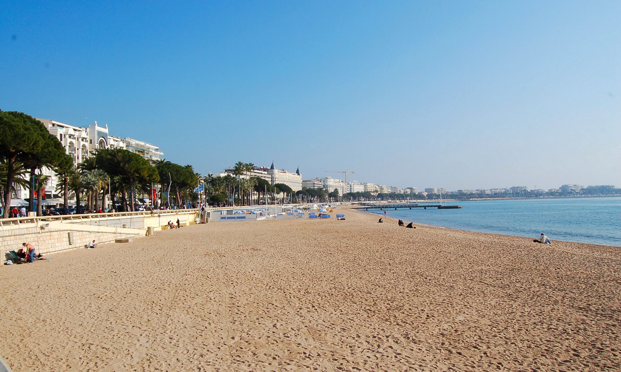 Palm trees and sandy beach along the Croisette promenade in Cannes France