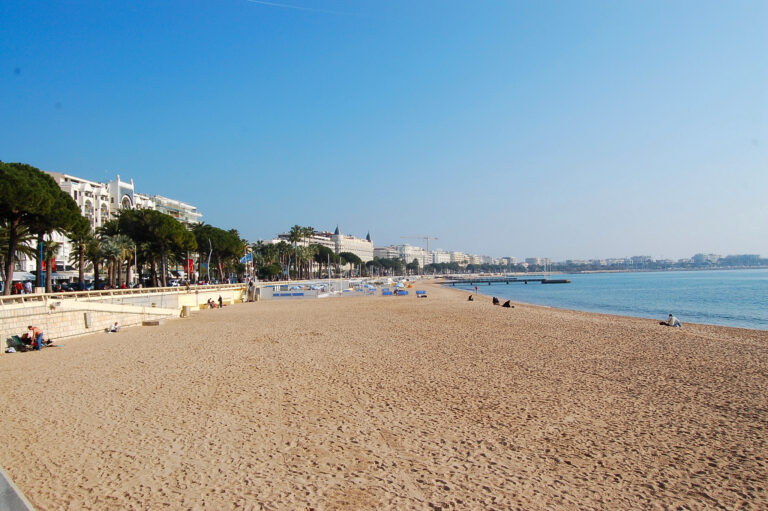 Palm trees and sandy beach along the Croisette promenade in Cannes France