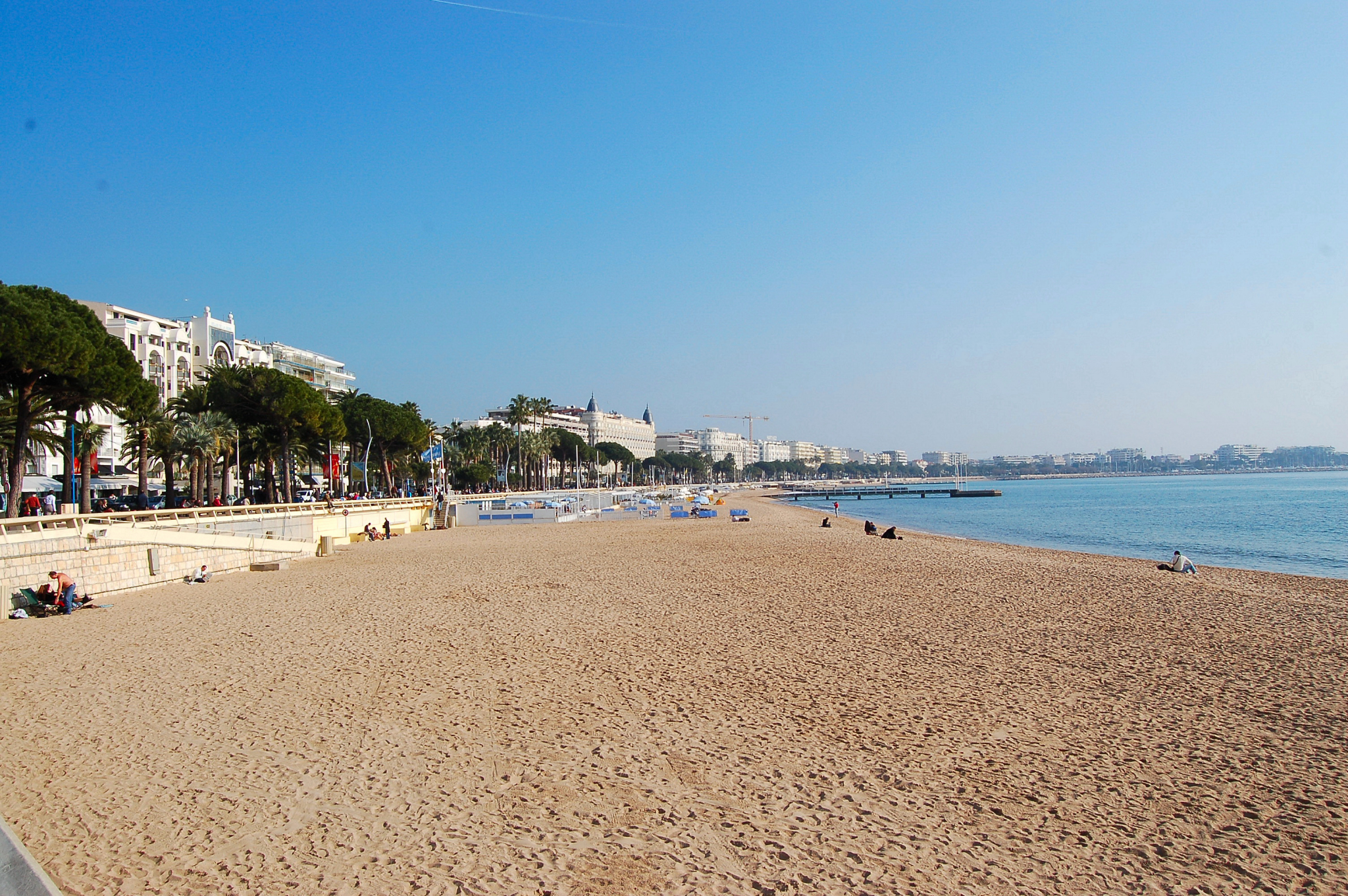 Palm trees and sandy beach along the Croisette promenade in Cannes France