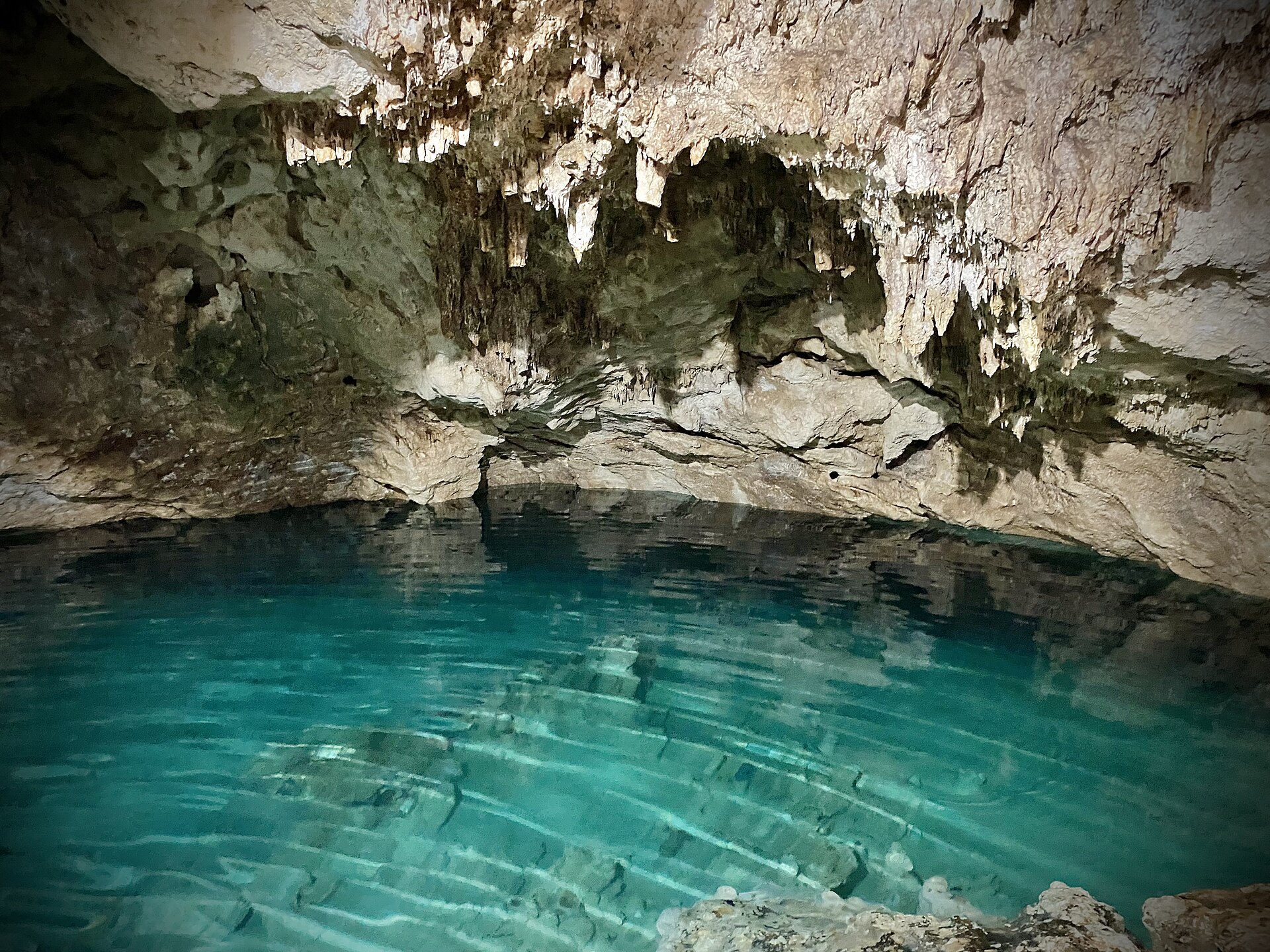 Clear turquoise water in a Yucatan cenote near Homun, Mexico