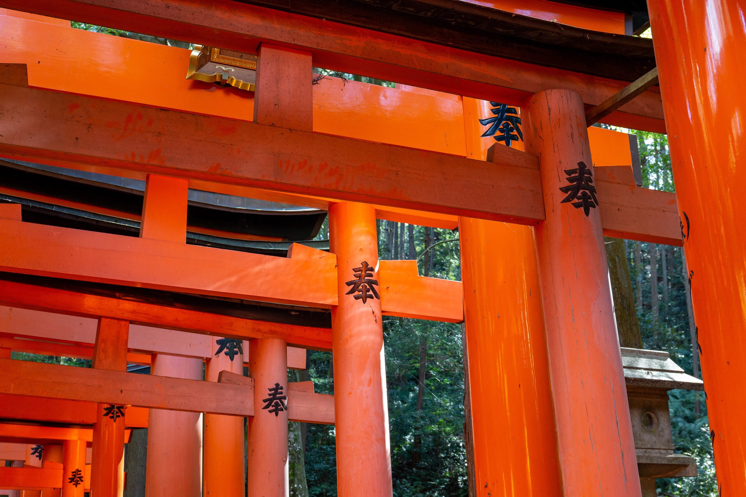 Tunnel of vermilion torii gates along the path at Fushimi Inari shrine in Kyoto, Japan