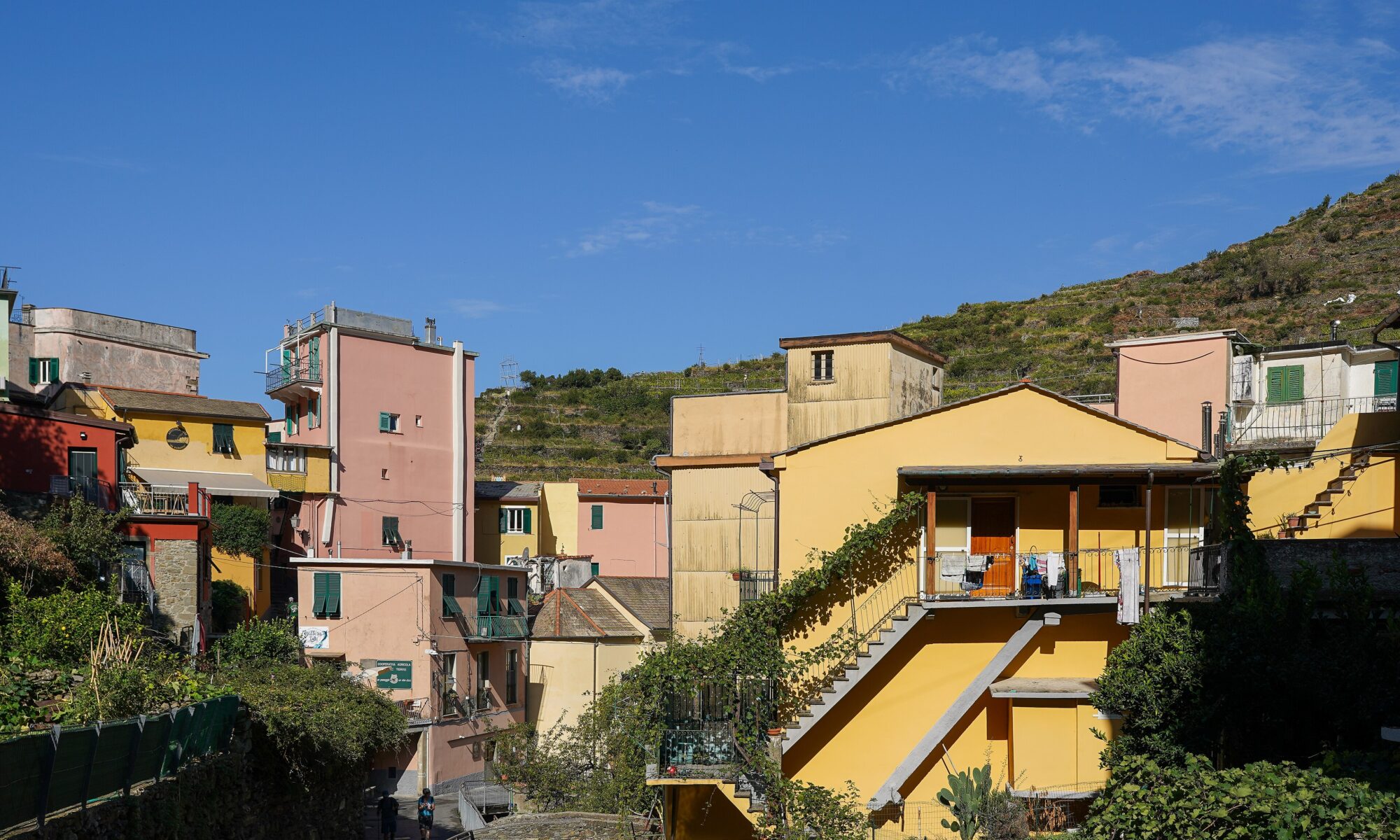 The brightly colored cliffside houses of Manarola in the Cinque Terre, Italy
