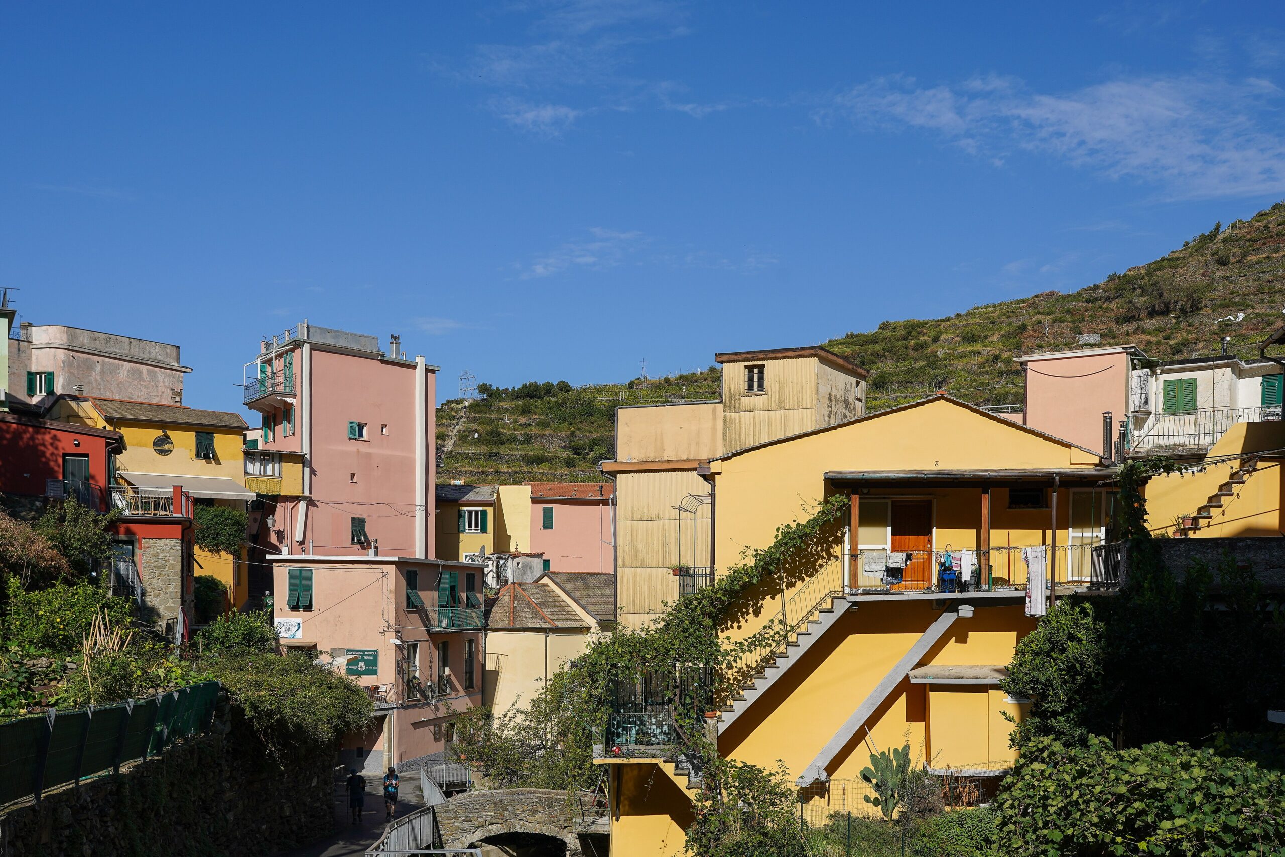 The brightly colored cliffside houses of Manarola in the Cinque Terre, Italy