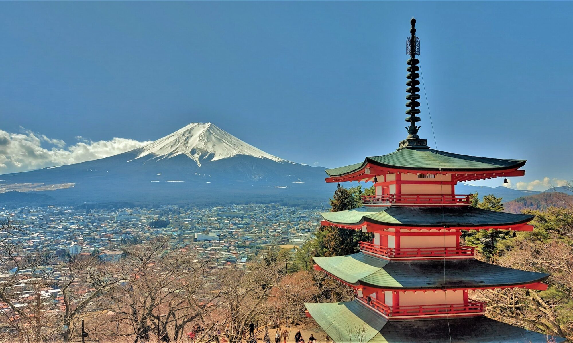 Mount Fuji behind the red Chureito Pagoda with cherry blossoms in Japan