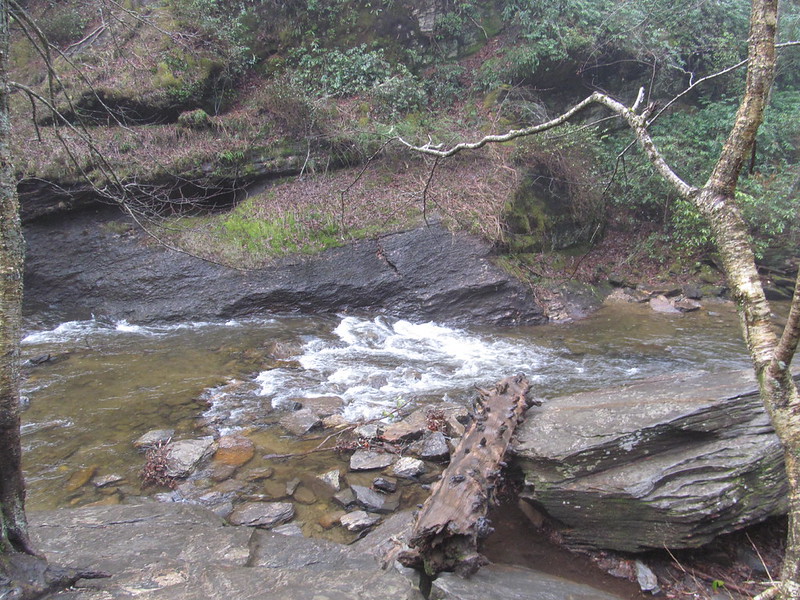 Looking Glass Falls pouring over a mossy rock ledge in Pisgah National Forest near Asheville