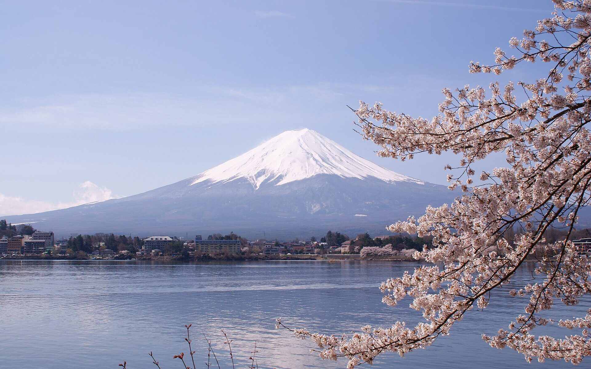 Mount Fuji with pink cherry blossoms and Lake Kawaguchiko in spring, Japan
