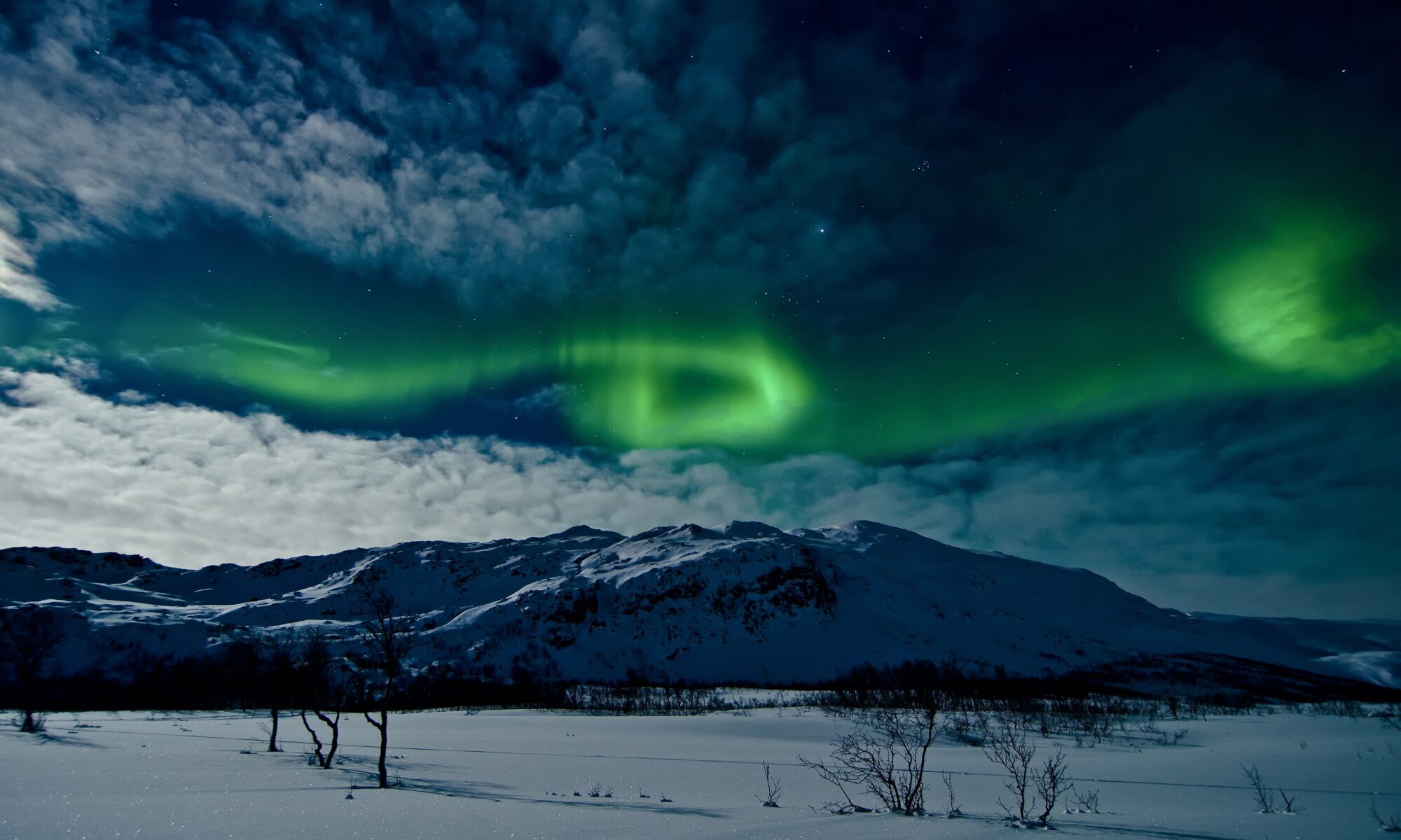Green aurora borealis glowing over Tromso, Norway on a winter night