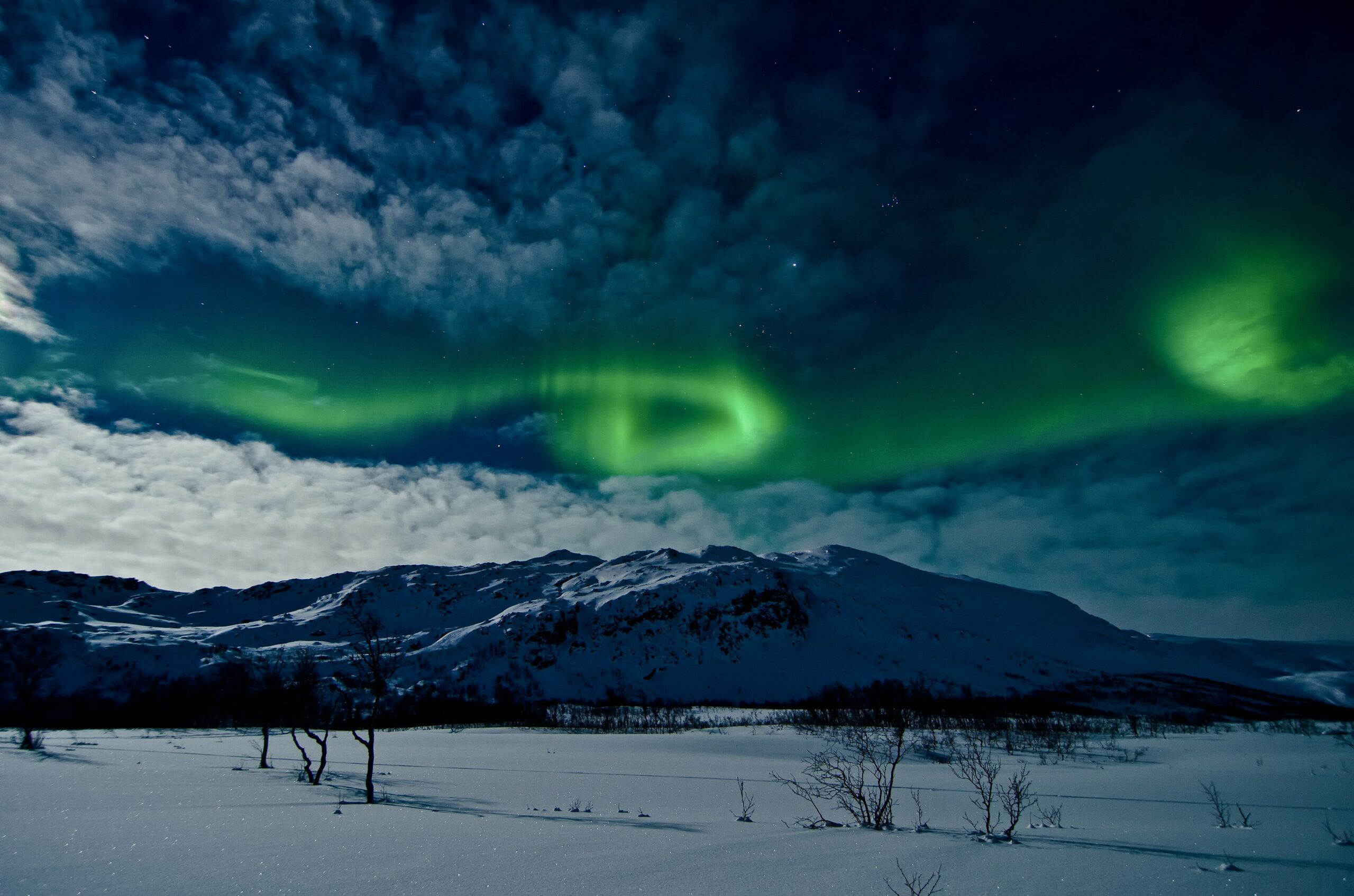 Green aurora borealis glowing over Tromso, Norway on a winter night