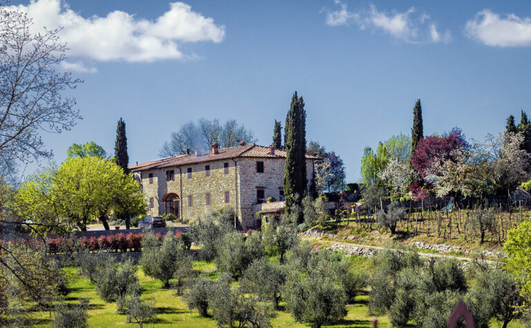 A Tuscan winery framed by cypress trees among rolling green hills