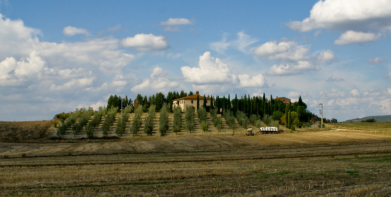Classic Tuscan countryside with a villa, cypress trees, and olive groves in Italy