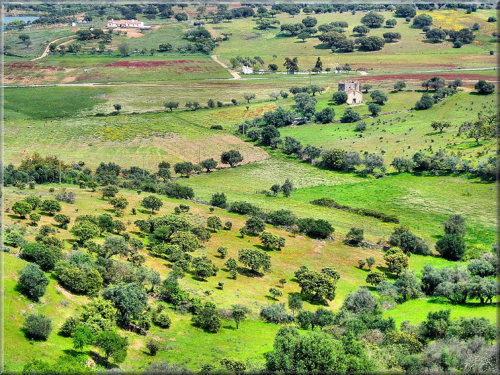 Rolling Alentejo countryside below the whitewashed hilltop village of Monsaraz in Portugal