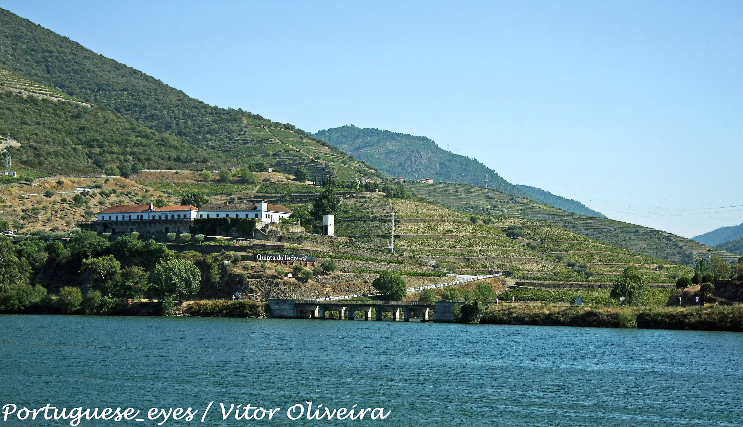 A working quinta wine estate surrounded by terraced vineyards in the Douro Valley, Portugal