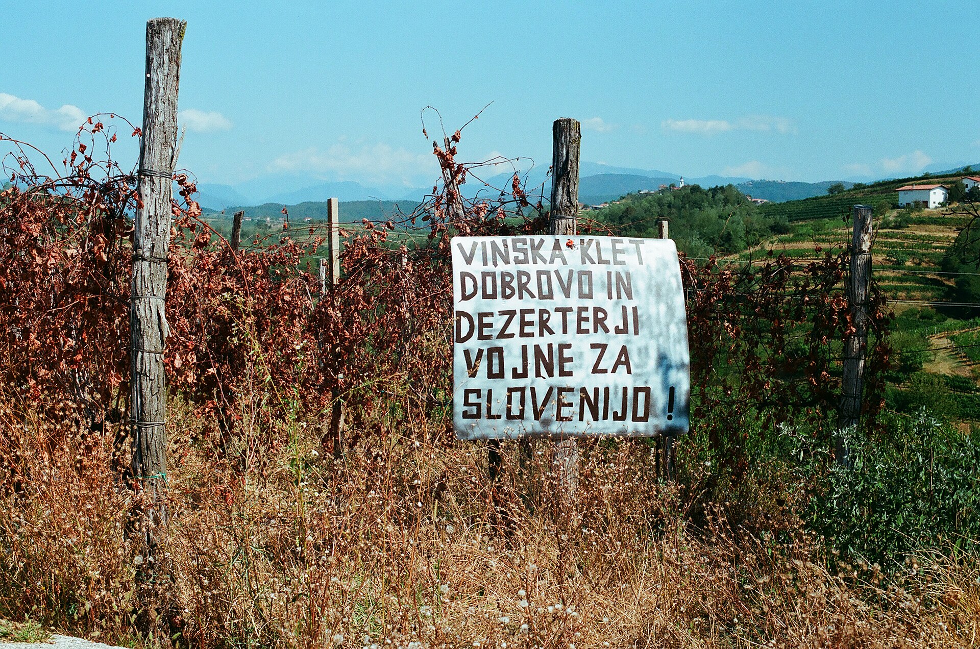 Vineyards rolling across the hills of Goriska Brda in western Slovenia