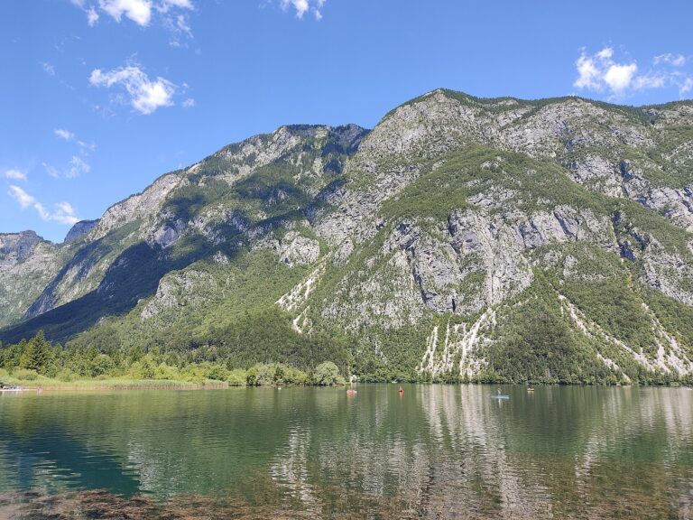 Lake Bohinj in Triglav National Park on a clear summer day