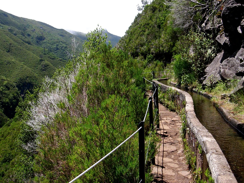 Hikers following a narrow levada irrigation channel through green forest on Madeira