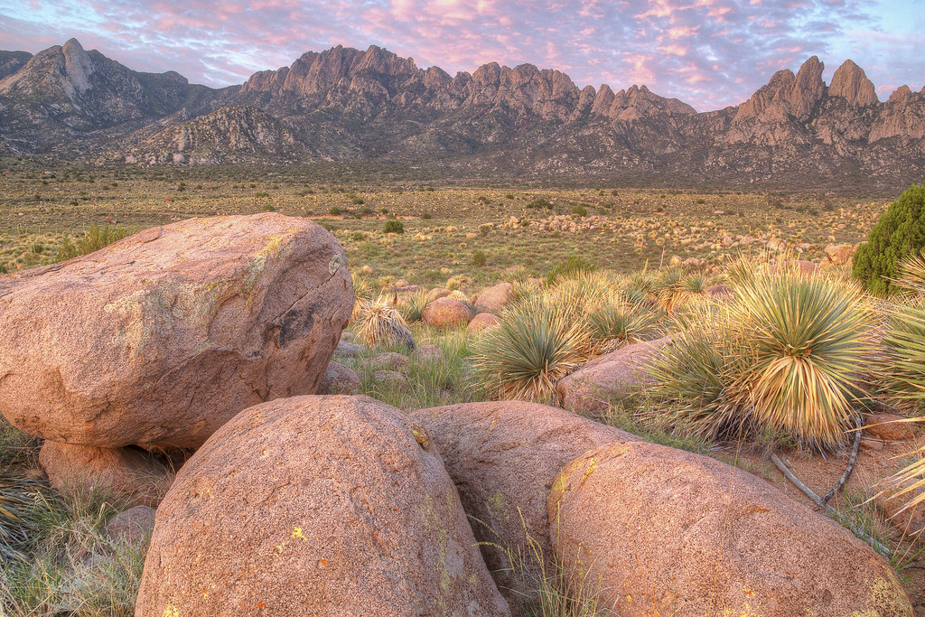 High desert peaks and golden grassland scenery in New Mexico