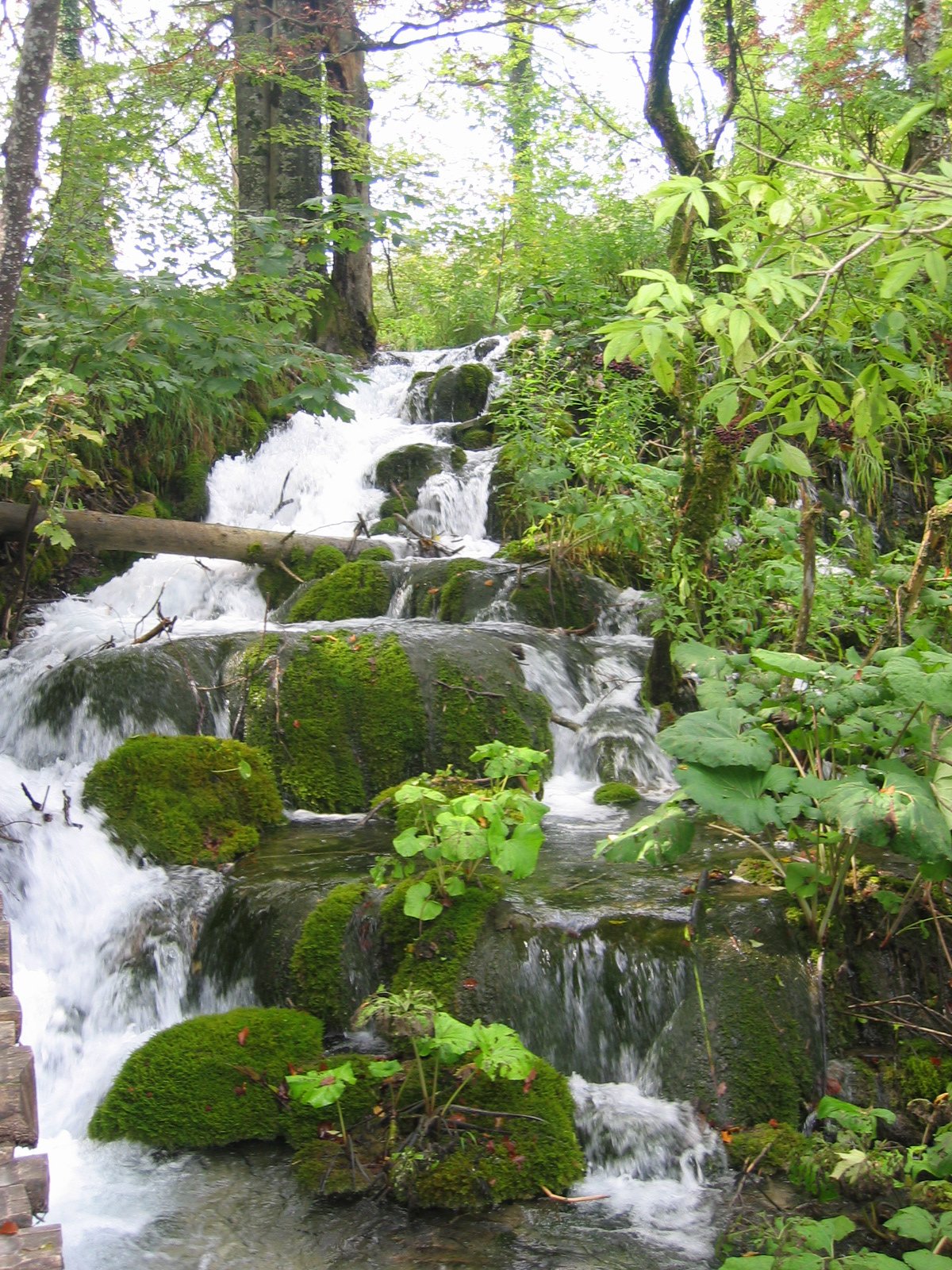 Waterfall cascading between lakes at Plitvice Lakes National Park, Croatia