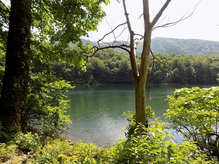 Biogradsko Lake ringed by old growth forest in Biogradska Gora National Park