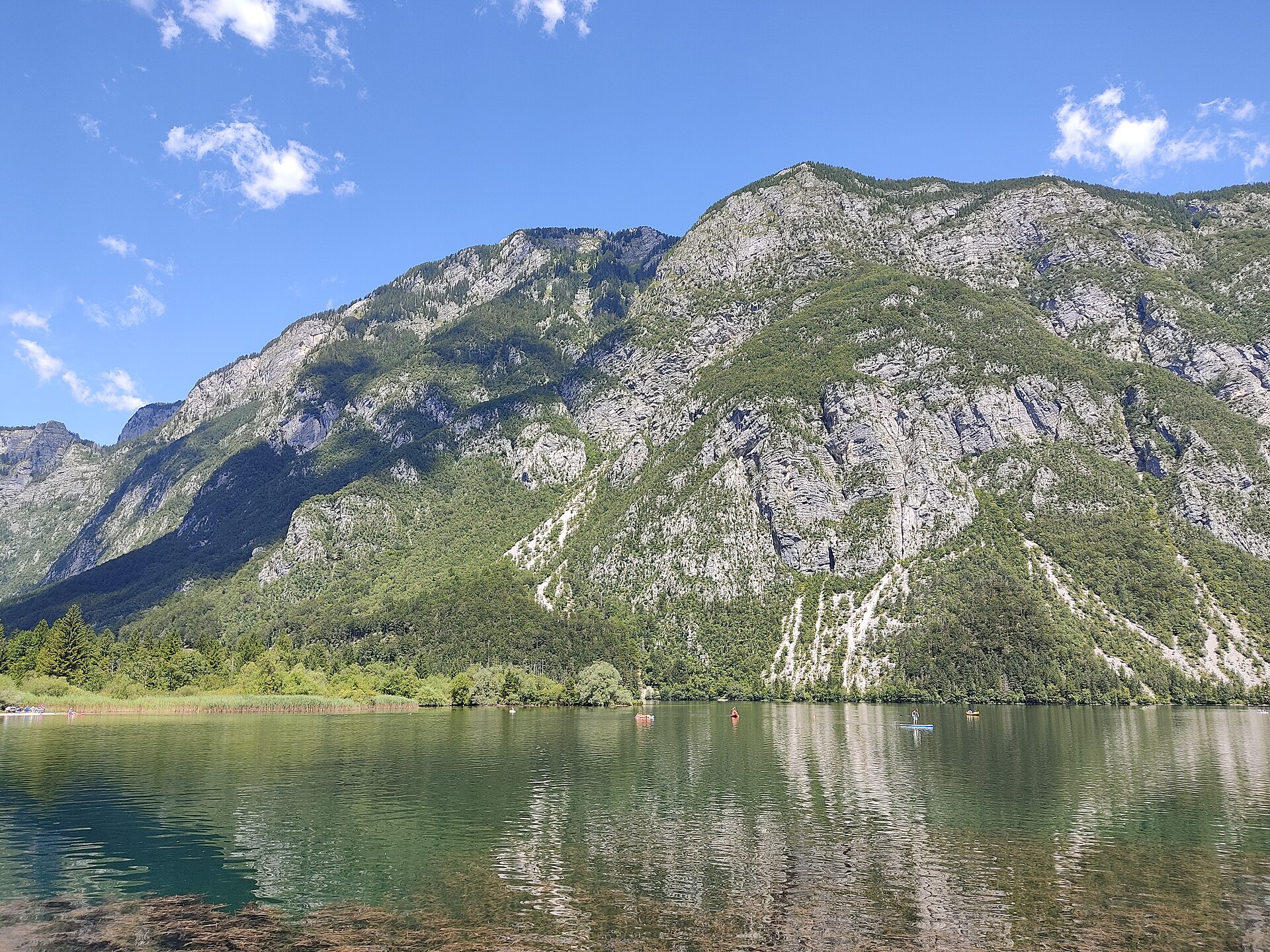 Lake Bohinj framed by forested mountains in Triglav National Park