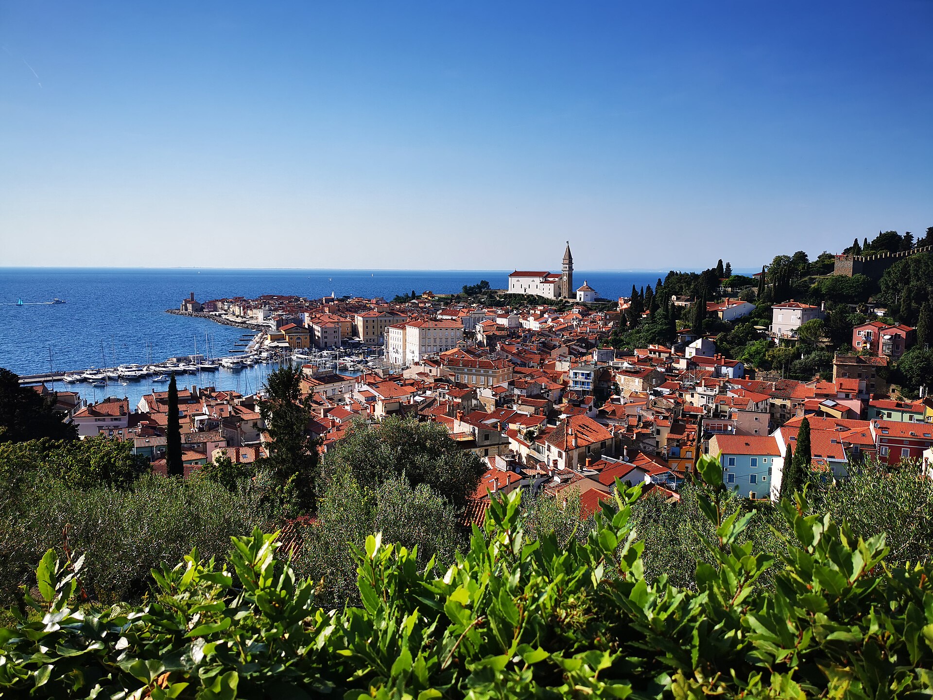 Red rooftops of Piran old town on the Slovenian Adriatic coast