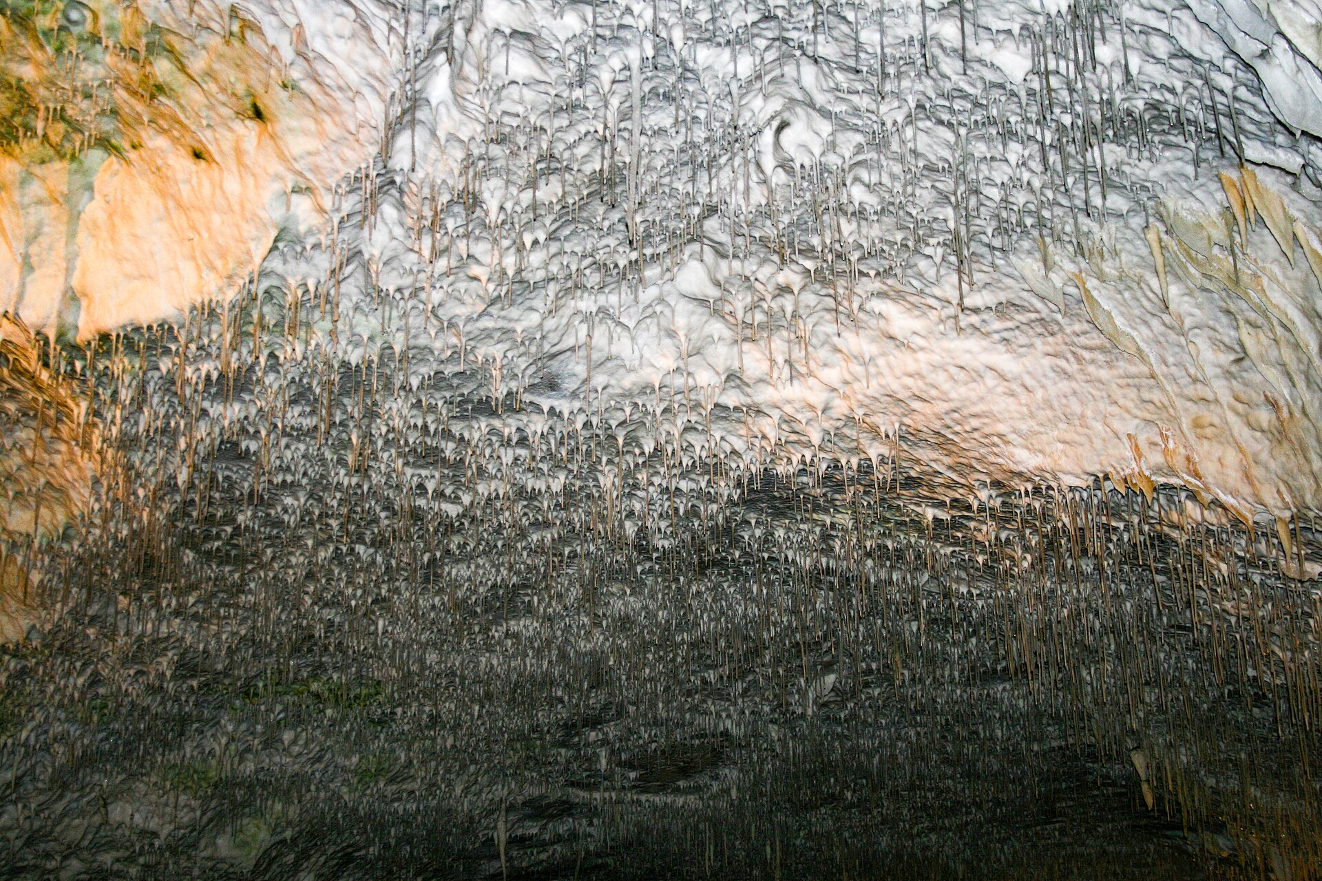 Cave formations along the walking route inside Postojna Cave