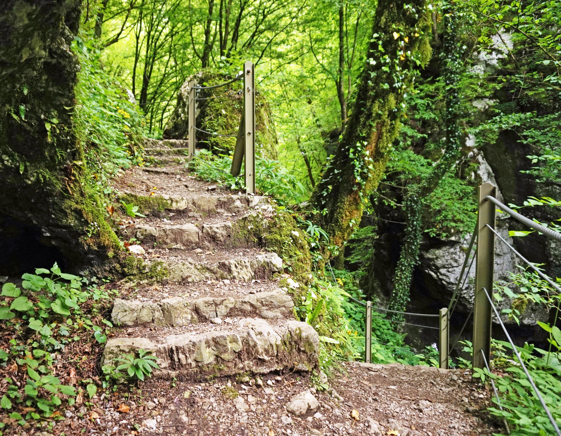 Wooden stairs and walkway descending into the Tolmin Gorge in the Soca Valley