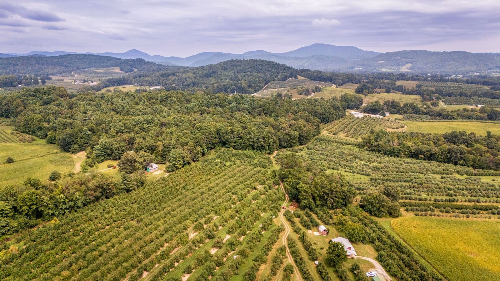Asheville travel guide to waterfalls and breweries