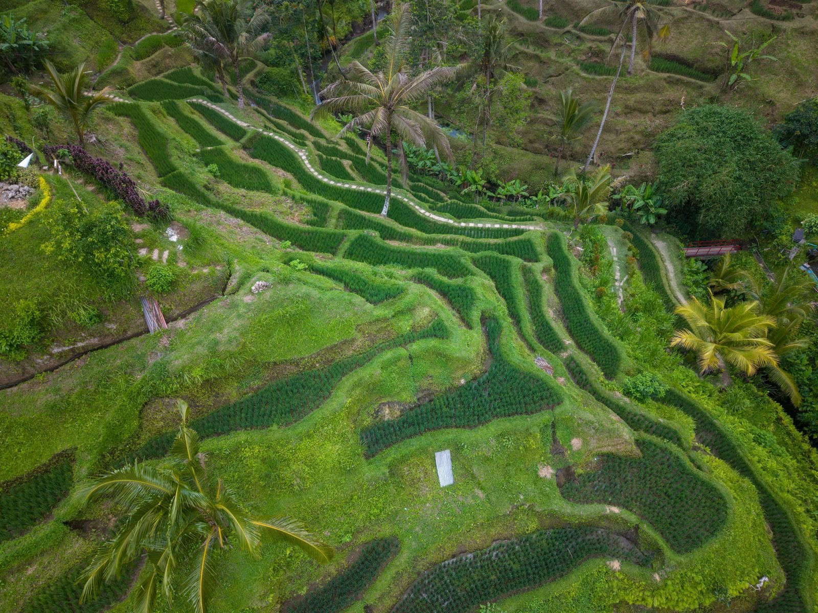 Bali travel guide highlights and the sights worth your time in Bali