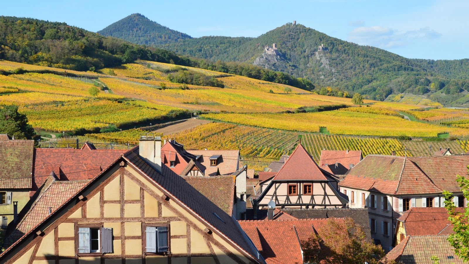 Best time to visit France in autumn for wine and fewer crowds
