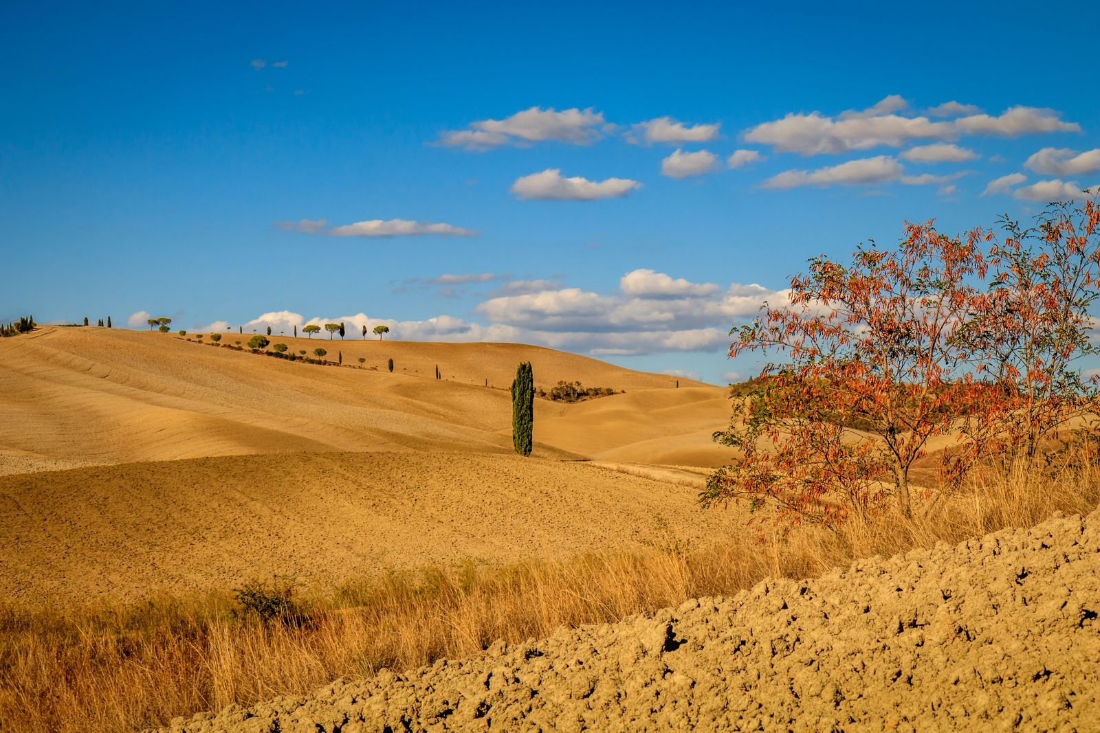 Best time to visit Italy in autumn for wine and fewer crowds