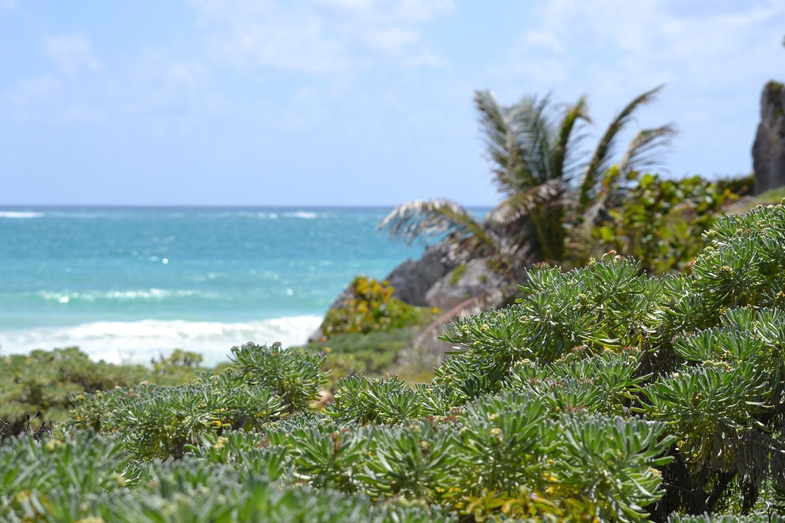 Best time to visit Mexico for the Caribbean coast and Yucatan