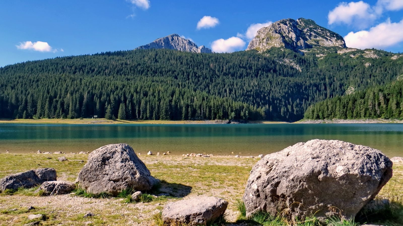 Biogradska Gora National Park hiking trails through old-growth forest