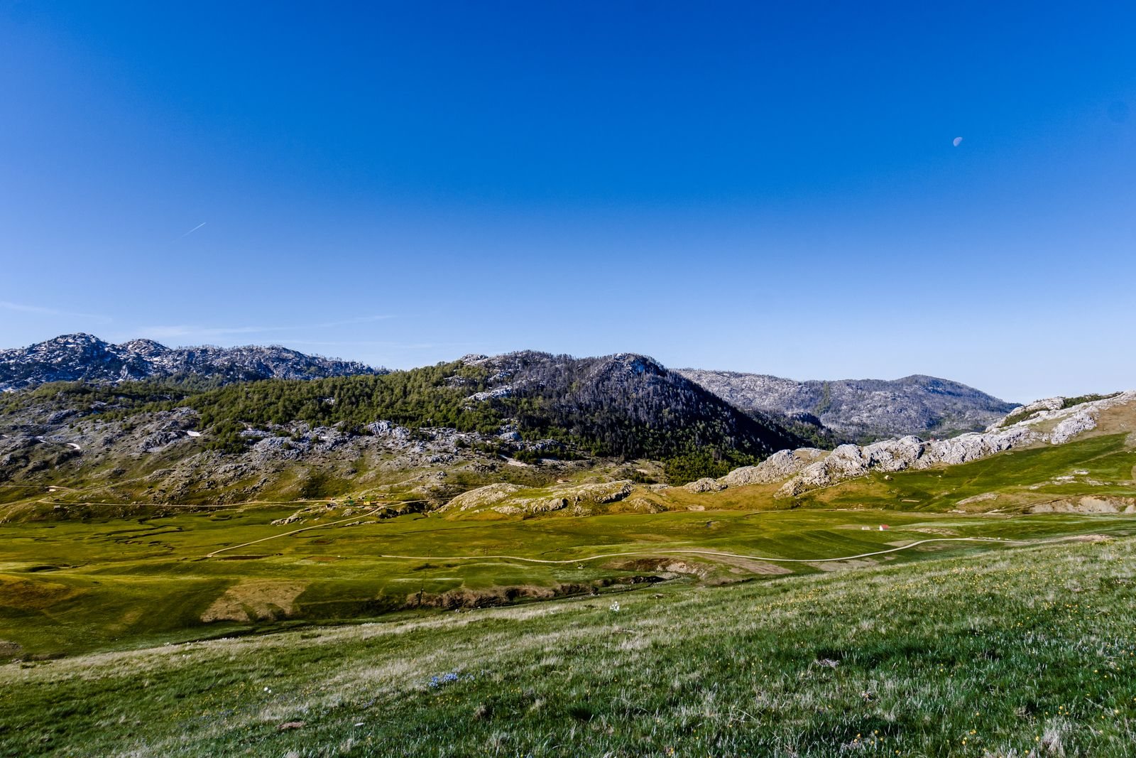 Biogradska Gora National Park entry fees and the best time to visit