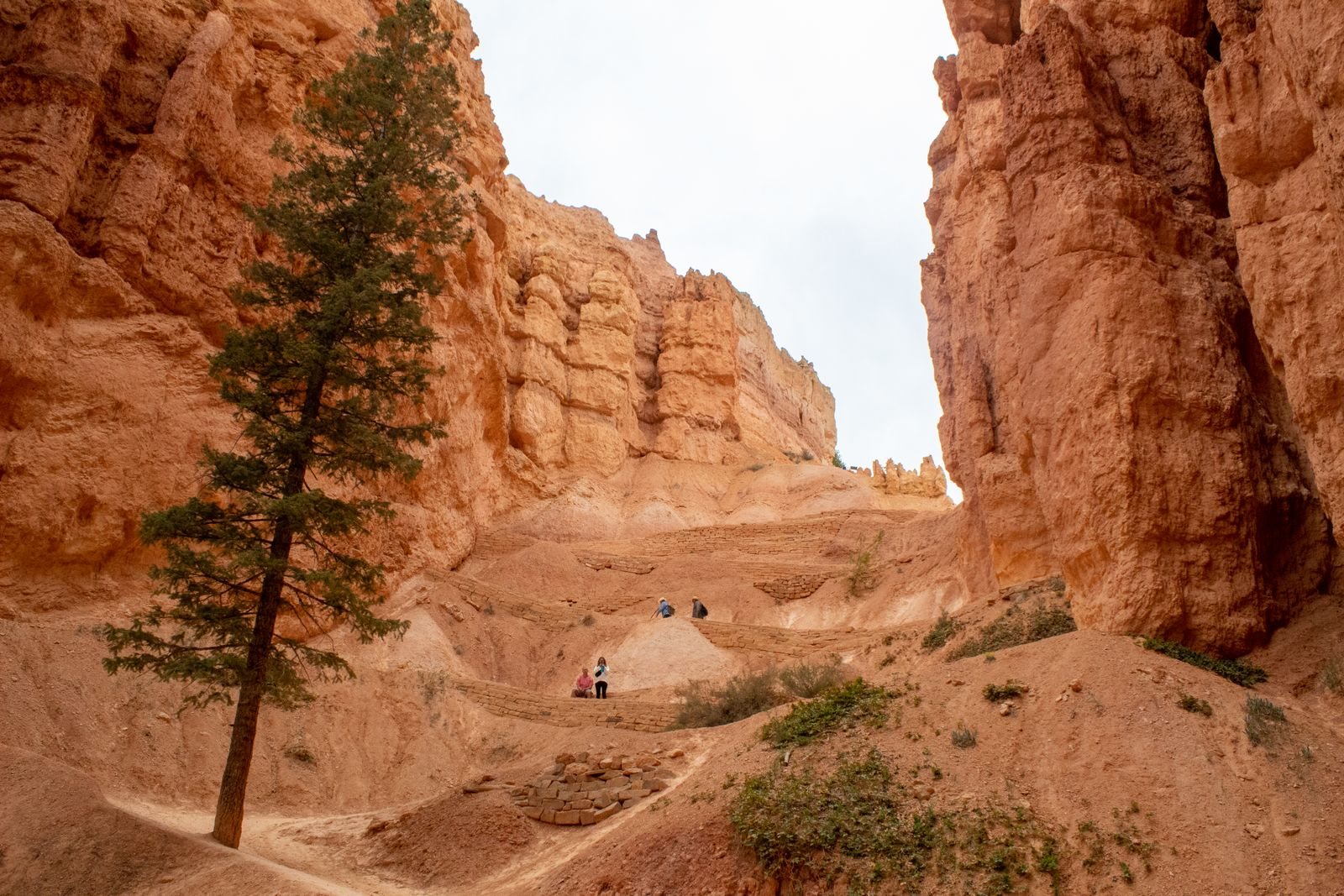 Bryce Canyon National Park trails and a 2-day itinerary