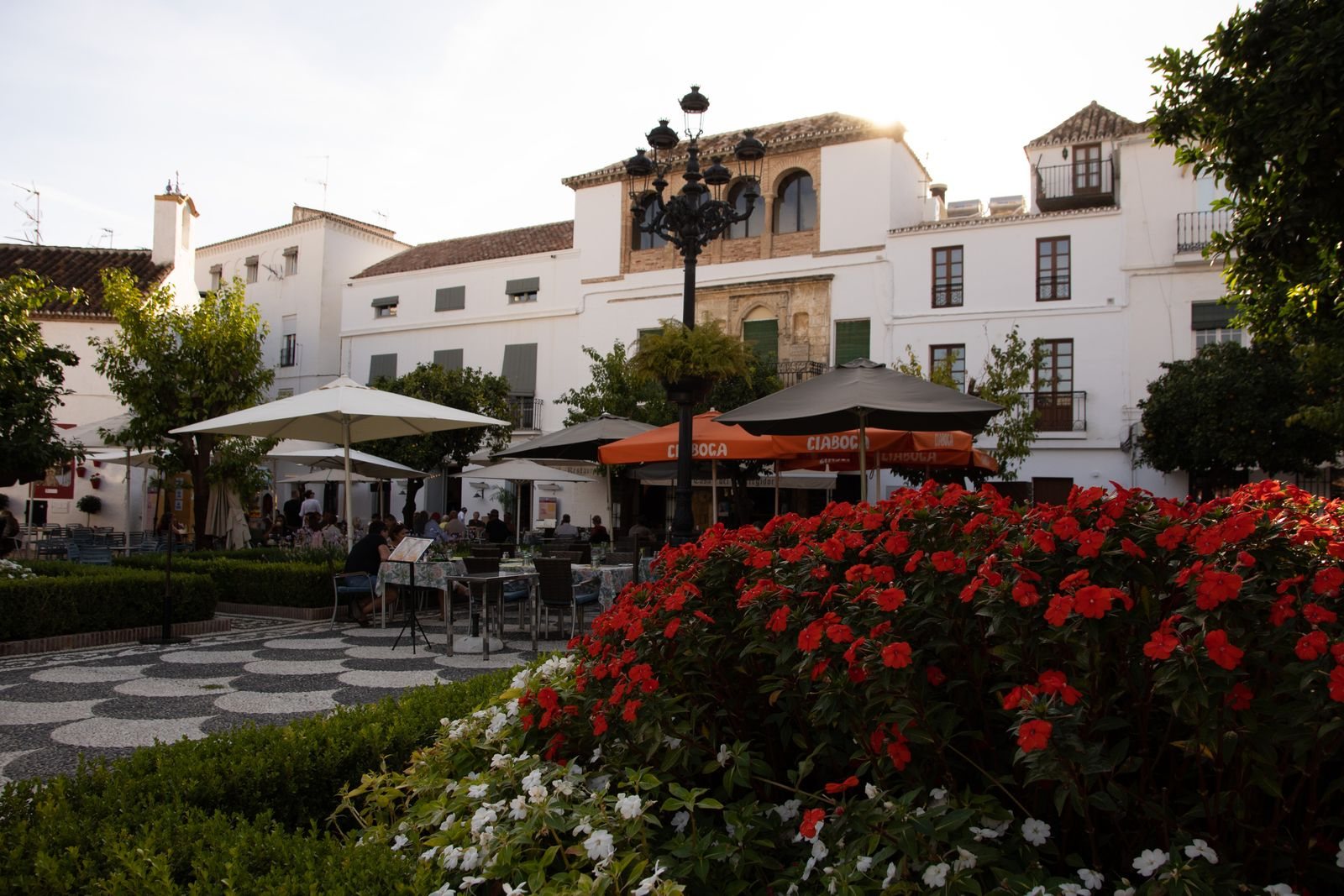 Cordoba travel guide to the flower patios and what to eat