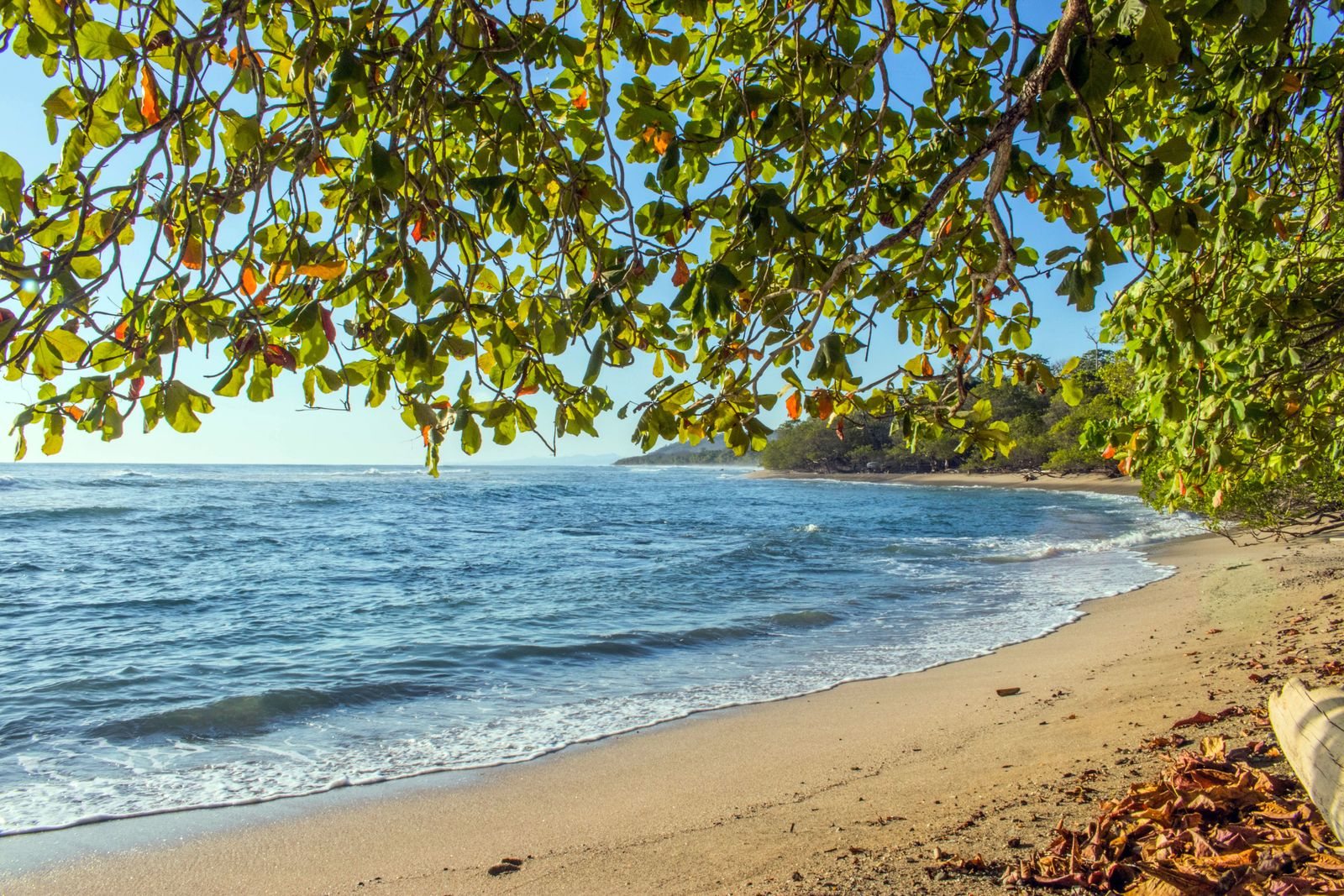 Costa Rica first timer guide highlights and the sights worth your time in Costa Rica