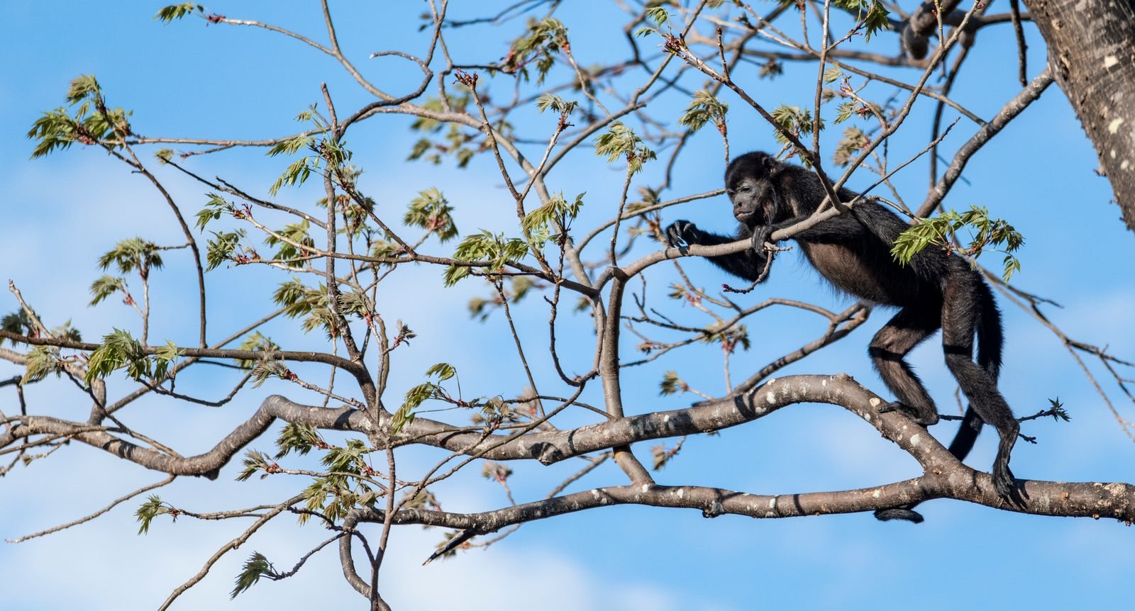 Costa Rica first timer guide tips on getting around Costa Rica, costs and what we wish we knew