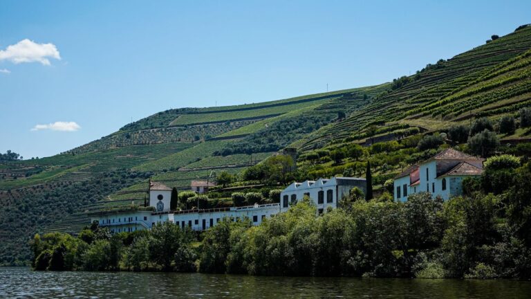 Douro Valley travel guide: the best things to do in the Douro Valley, where to stay and when to go